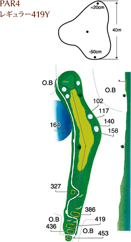 PAR4 レギュラー419Y