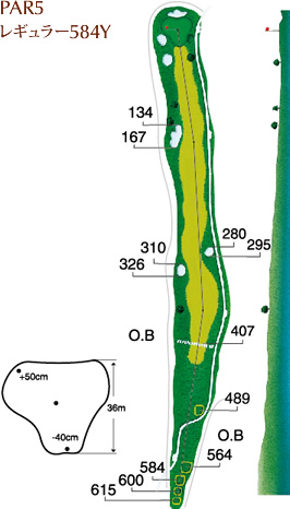 PAR5 レギュラー584Y