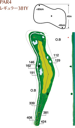 PAR4 レギュラー381Y