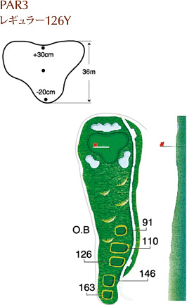 PAR3 レギュラー126Y