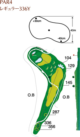 PAR4 レギュラー336Y