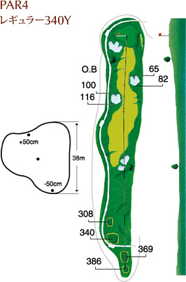 PAR4 レギュラー340Y