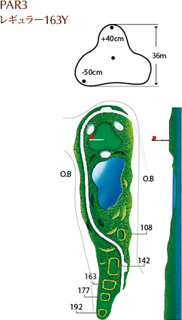 PAR3 レギュラー163Y