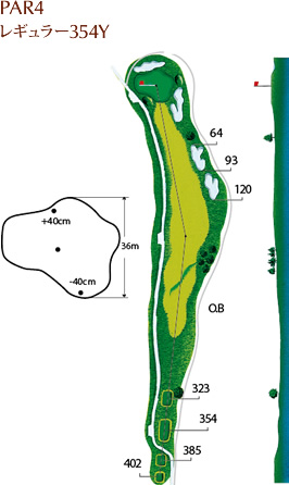 PAR4 レギュラー354Y