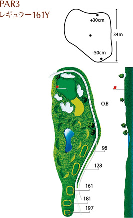 PAR3 レギュラー161Y