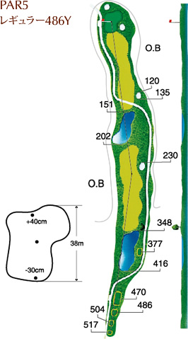 PAR5 レギュラー486Y