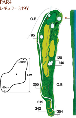 PAR4 レギュラー319Y