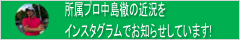 所属プロ 中島 徹